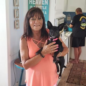 Meet your Posher, Donna